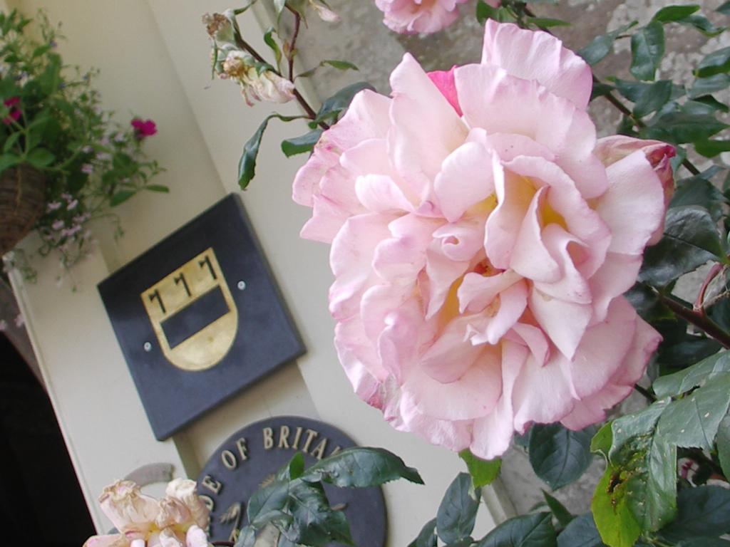 Buckland Tout Saints Hotel Totnes Esterno foto